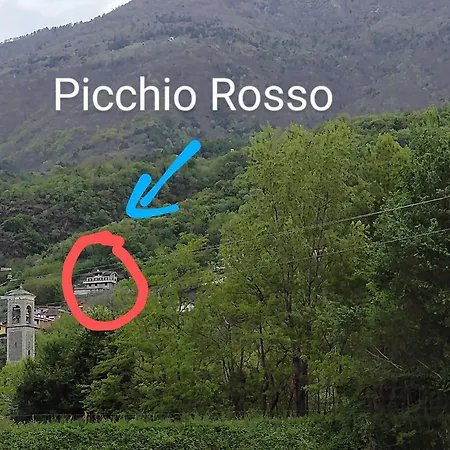 Il Picchio Rosso * Mantello